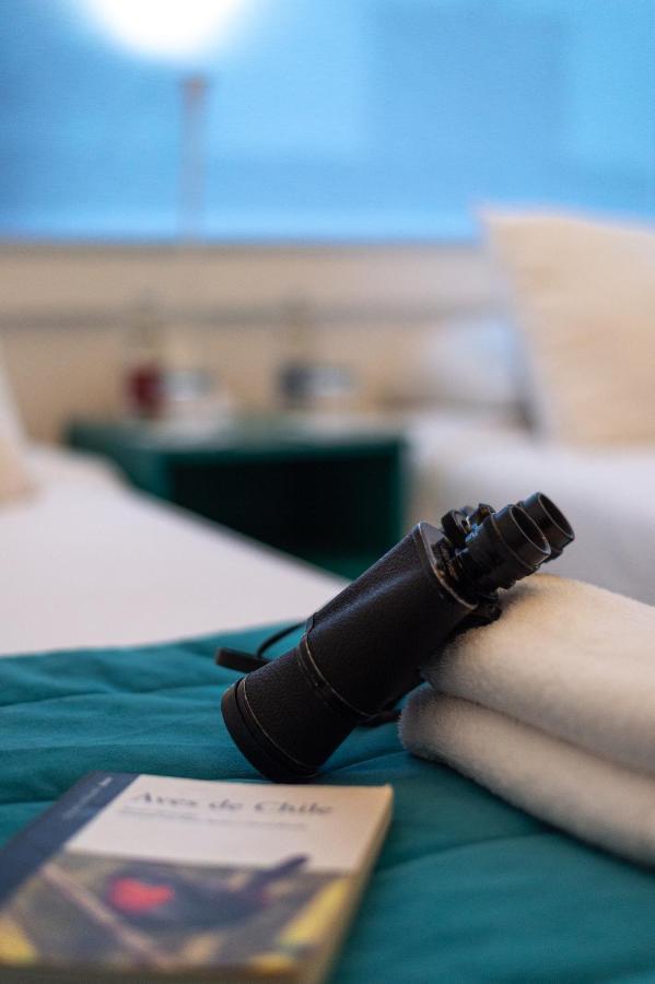 Hostal Boutique Terra Antarctica بونتا أريناس المظهر الخارجي الصورة